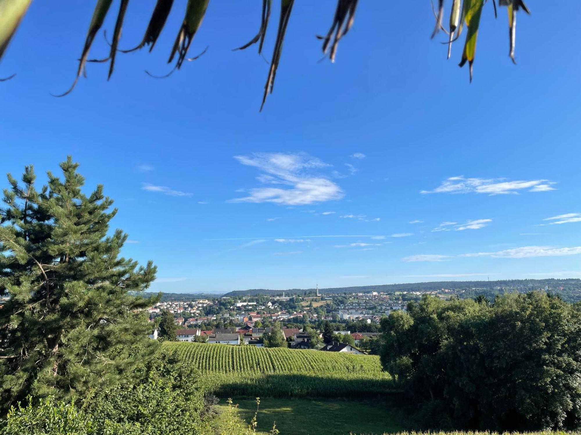 Tiny-House Mit Alpen- Stadt- Und Poolblick , Wlan Passau Buitenkant foto